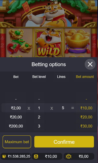 Bettting Option in Fortune Tiger online Slots Game