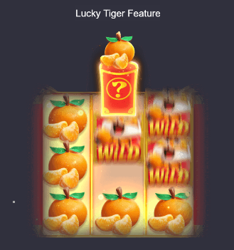 Lucky Tiger Feature